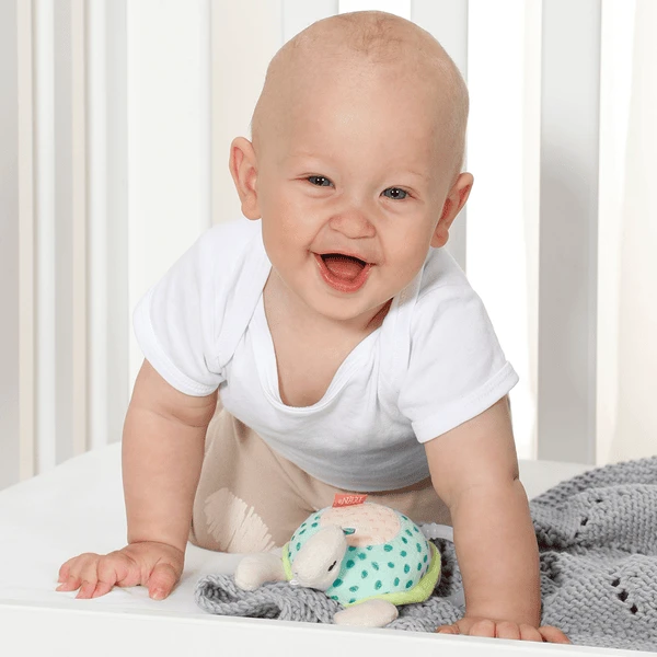 Fehn ® Mini Muziekdoos S Child Pad 5 Fehn ® Mini Muziekdoos S Child Pad - Afbeelding 5