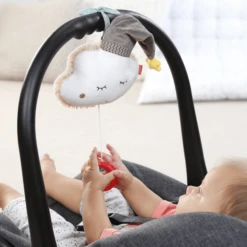 Fehn Muziekdoos Wolk Met Pet 7 Fehn Muziekdoos Wolk Met Pet -Kinder Speel Verkoop fehn muziekdoos wolk met pet a246927 2