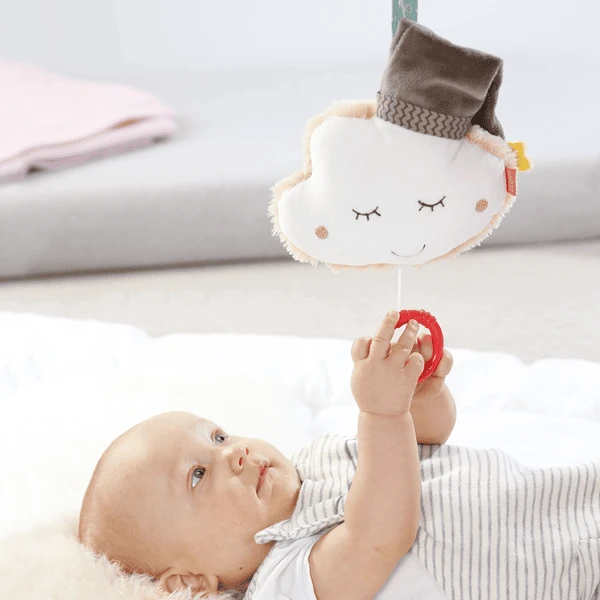 Fehn Muziekdoos Wolk Met Pet 5 Fehn Muziekdoos Wolk Met Pet - Afbeelding 5