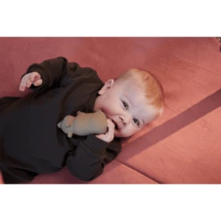 Filibabba Bijtring Van Natuurlijk Rubber - Bertram De Beer 9 Filibabba Bijtring Van Natuurlijk Rubber - Bertram De Beer -Kinder Speel Verkoop filibabba bijtring van natuurlijk rubber bertram de beer a383169 4