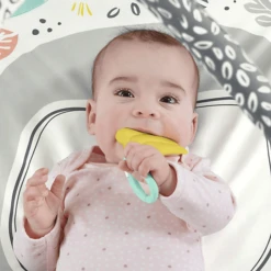 Fisher Price Snuga Monkey Sportschool -Kinder Speel Verkoop fisher price snuga monkey sportschool a396148 2