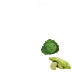 Hape Groentemand -Kinder Speel Verkoop hape groentemand a294694 3