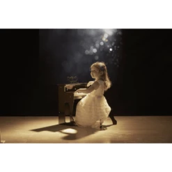 Hape Soundful Elektrische Piano -Kinder Speel Verkoop hape soundful elektrische piano a346571 3