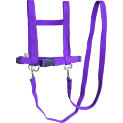 Helga Kreft Zügelmatz Paardenspeellijn, Paars 6 Helga Kreft Zügelmatz Paardenspeellijn, Paars -Kinder Speel Verkoop helga kreft zuegelmatz paardenspeellijn paars a334333 2