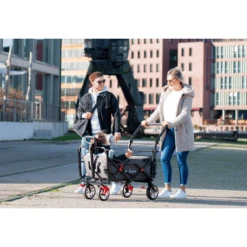 Pinolino Opvouwbare Bolderkar AddPlus Met Rem Grijs Gevlekt -Kinder Speel Verkoop pinolino opvouwbare bolderkar addplus met rem grijs gevlekt a309344 4