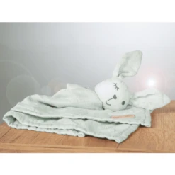 Roba Knuffeldoekje Lil Planet Groen -Kinder Speel Verkoop roba knuffeldoekje lil planet groen a308281 4