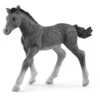 Schleich Trakehner Veulen, 13944